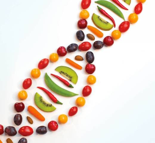 Genetics and Diet Can your genes determine your ideal diet? Dr. Tomah Phillips, ND